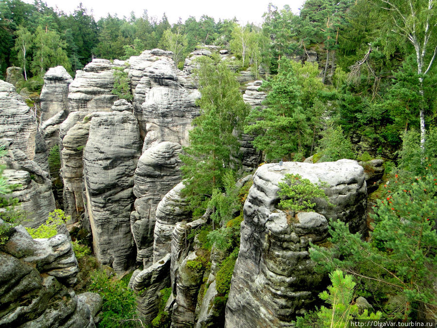 Скальные формирования можно наблюдать как с высоты... Чешский Рай Заповедник, Чехия