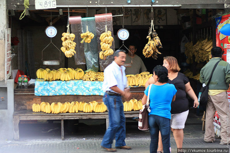 Банановая лавка рядом с рынком. Мерида, Мексика