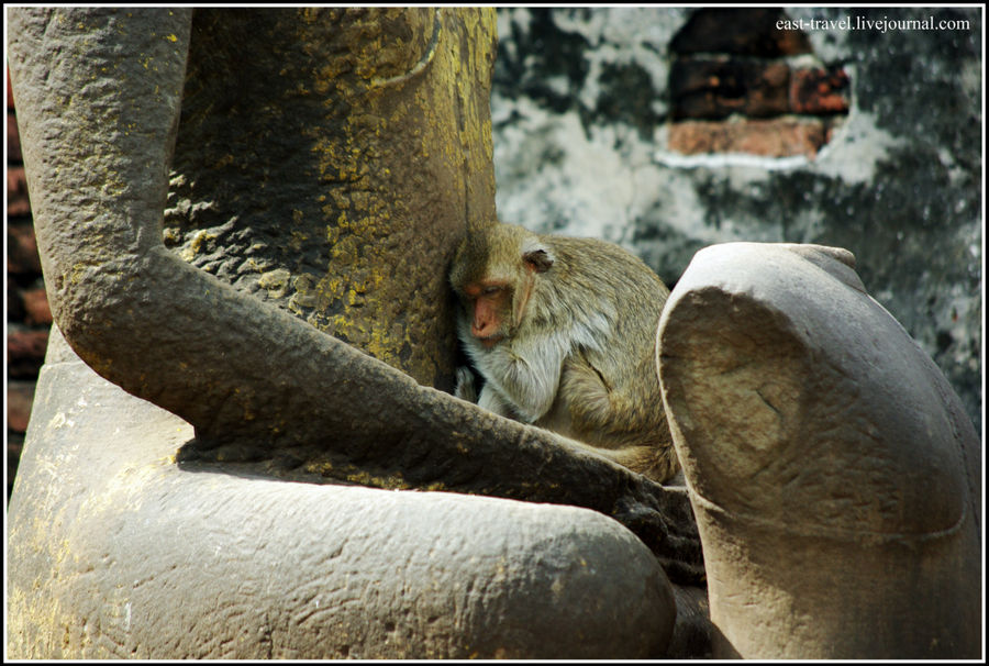 Храм обезьян в Стране Улыбок Лоп-Бури, Таиланд