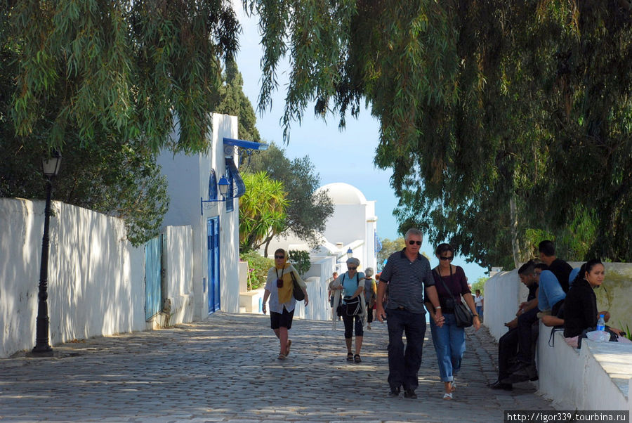 Путешествие по Тунису: Сиди бу Саид Сиди-Бу-Саид, Тунис