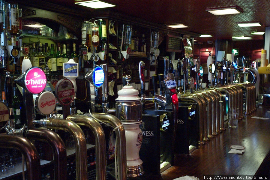 Пива насчитал сорок краников: 25 здесь и 15 за углом, барная стойка поворачивает. Дублин, Ирландия