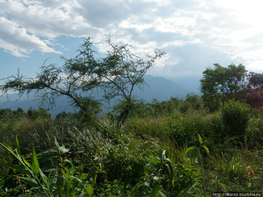 El camino real — дорога от Гуане до Баричары, вдалеке красивые синие горы Сан-Хиль, Колумбия