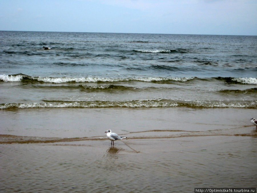 Юрмала: небо, море и чайки. Юрмала, Латвия