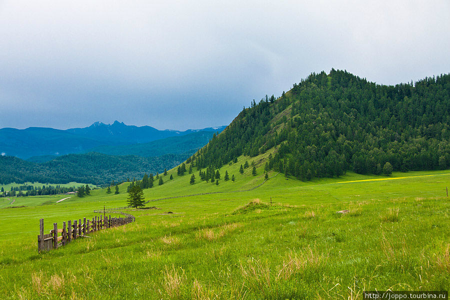 Сплав на рафтах в Горном Алтае Республика Алтай, Россия