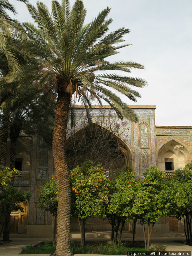Медресе Шираз, Иран