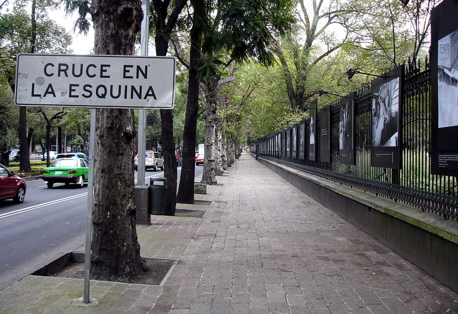 Люблю, когда на улице выставляется выставка, особенно фото. Мехико, Мексика