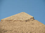 Парящие птицы над вершиной Второй пирамиды (пирамиды Хафра).