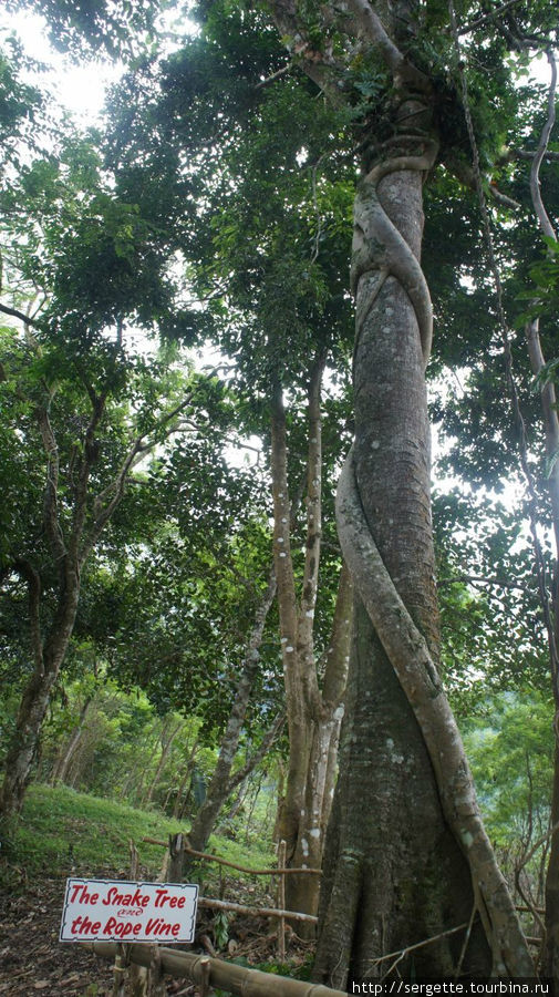 Парк Юрского периода Думагете, Филиппины
