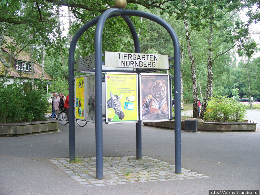 Зоопарк Нюрнберга / Tiergarten Nürnberg