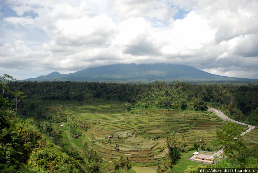 Загадочный мир Бали Бали, Индонезия