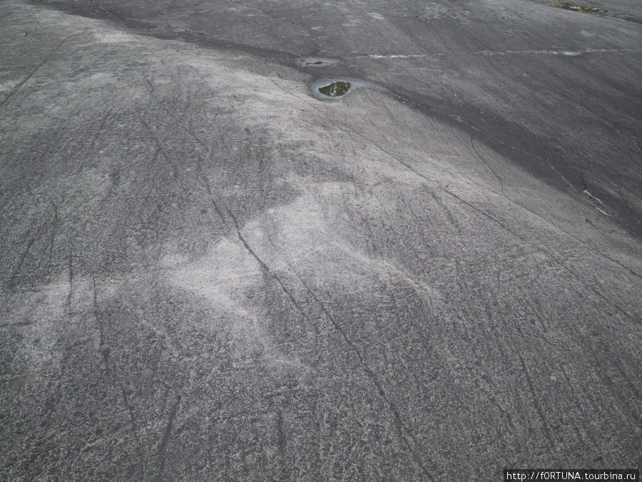 изображение лося размером больше метра Беломорск, Россия