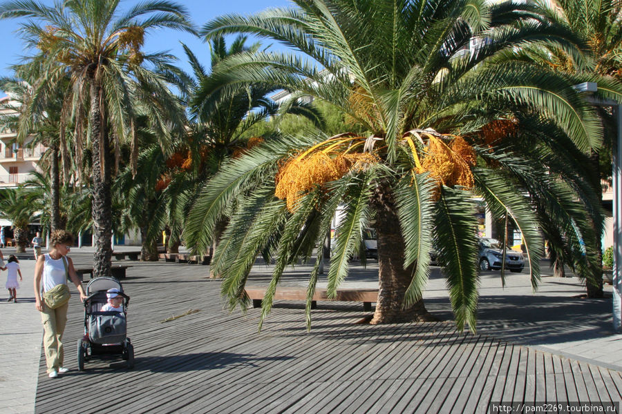 деревянный настил на набережной Порт-Алькудия, остров Майорка, Испания