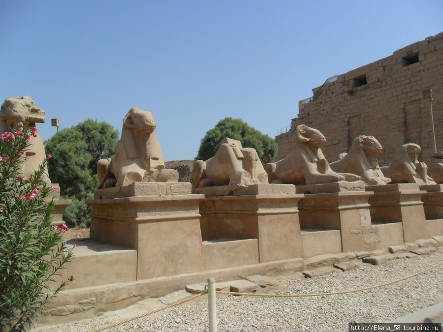 По следам древней цивилизации Луксор, Египет