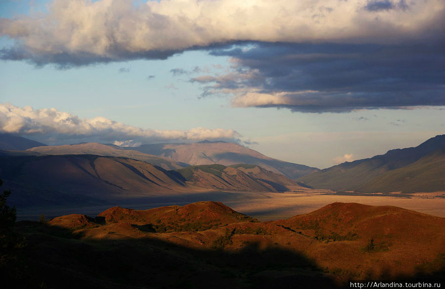 Курайская степь. На закате... Республика Алтай, Россия