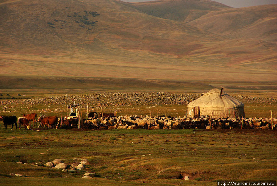 Юстыд. Граница с Монголией и Китаем. Республика Алтай, Россия