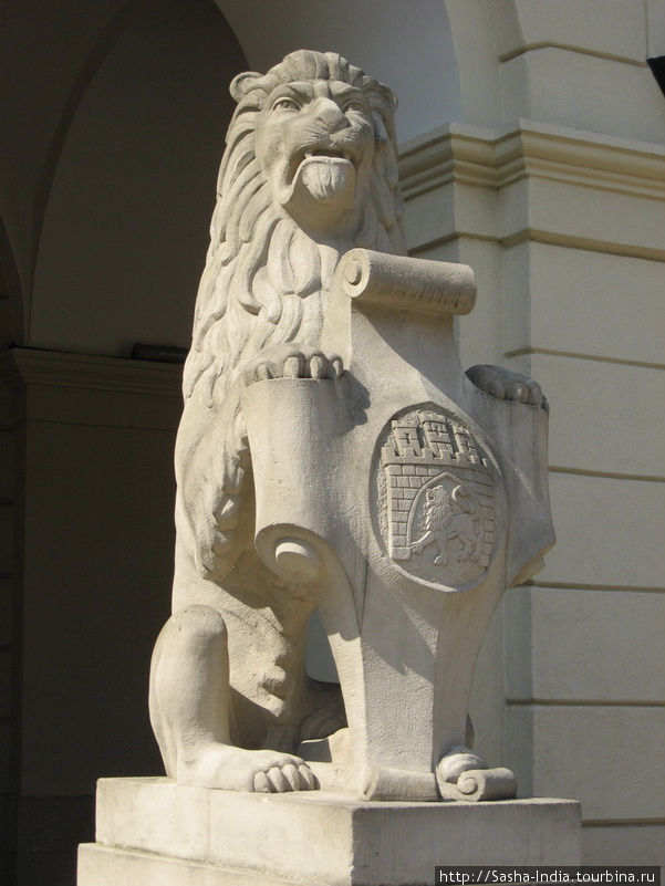 Лев возле мэрии Львова Львов, Украина