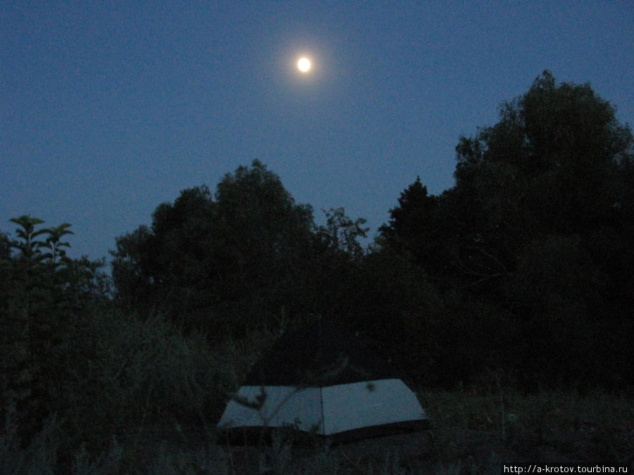 Наша палатка на огороде (на улице спать свежее, чем в доме) Саратовская область, Россия