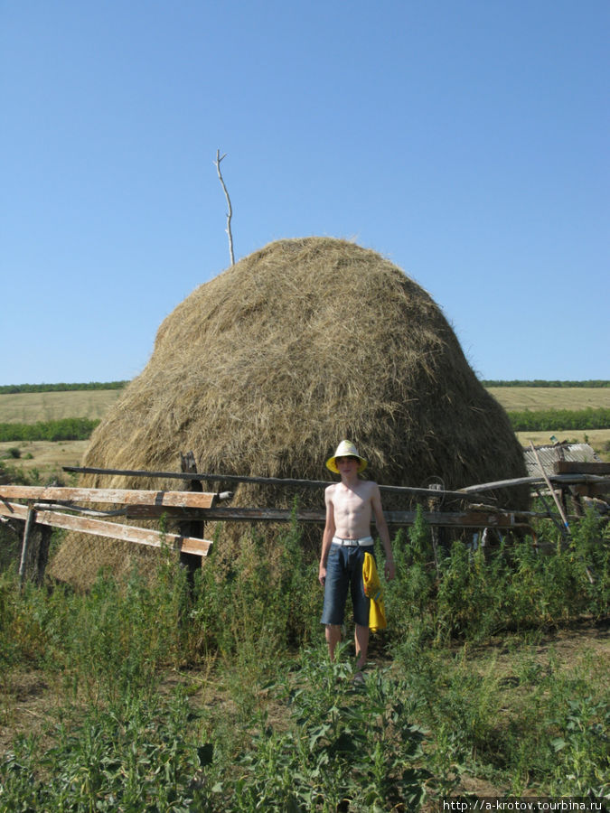 Продукция сенокоса Саратовская область, Россия
