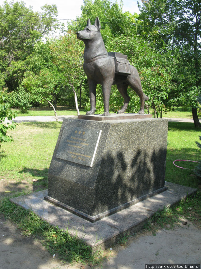 Памятник собаке — самоубийце Волгоград, Россия