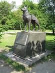 Памятник собаке — самоубийце