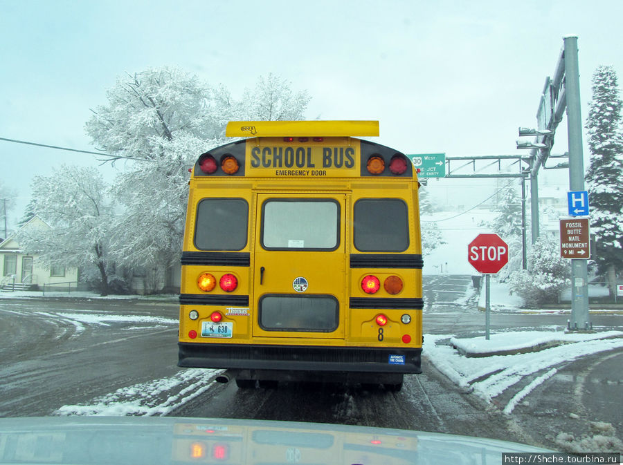 Утро, школьные автобусы работают вовсю. За ними особый присмотр, они ездят практически без правил, везде имеют преимущество... Даймондвилл, CША