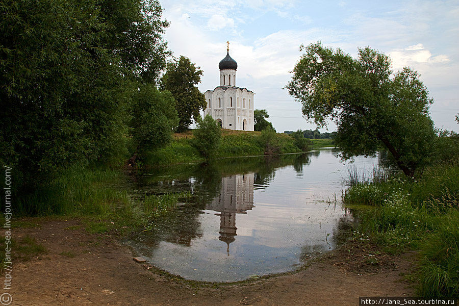 Храм Покрова на Нерли летом Боголюбово, Россия