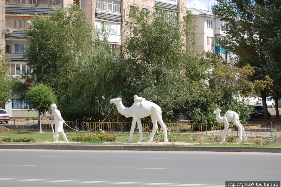 Старик с верблюдами Уральск, Казахстан