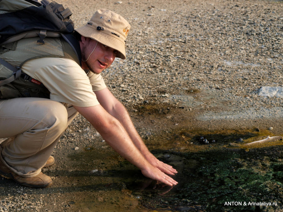Обычно вода достигает плюс 98 градусов, но есть места, где и не так горячо. Семулики Национальный Парк, Уганда