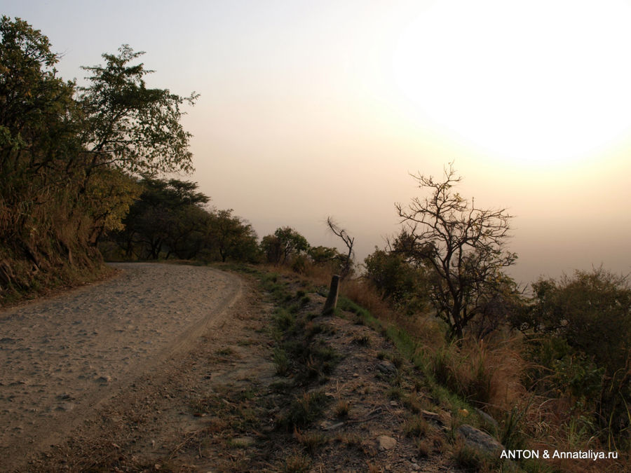 Дорога назад. Семулики Национальный Парк, Уганда