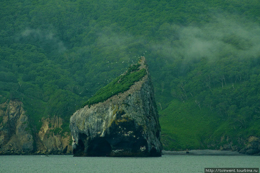 Остров Старичков — морская прогулка и море впечатлений. Остров Старичков, Россия