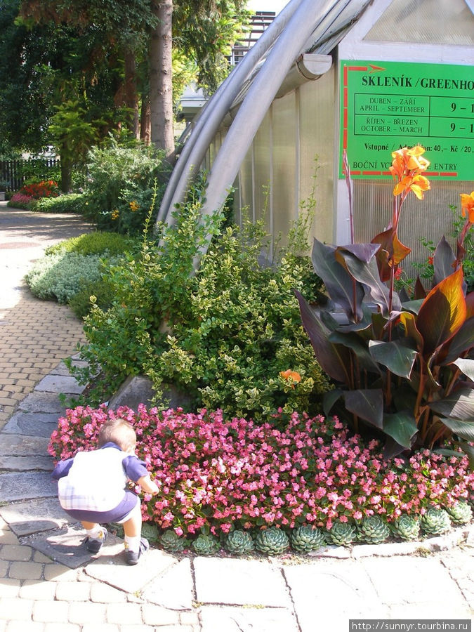 Ботанический сад в Брно