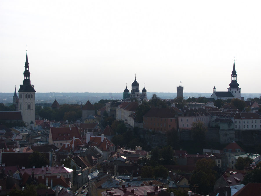 А в награду Вам достанется великолепная панорама города. Таллин, Эстония