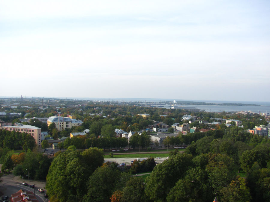 С высоты Шпиля Олевисте Таллин, Эстония
