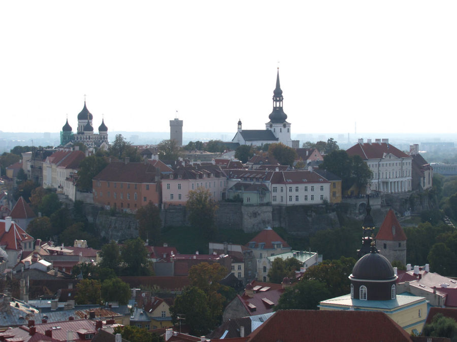 с высоты Олевисте чётко виден Верхний город и Нижний город. Таллин, Эстония