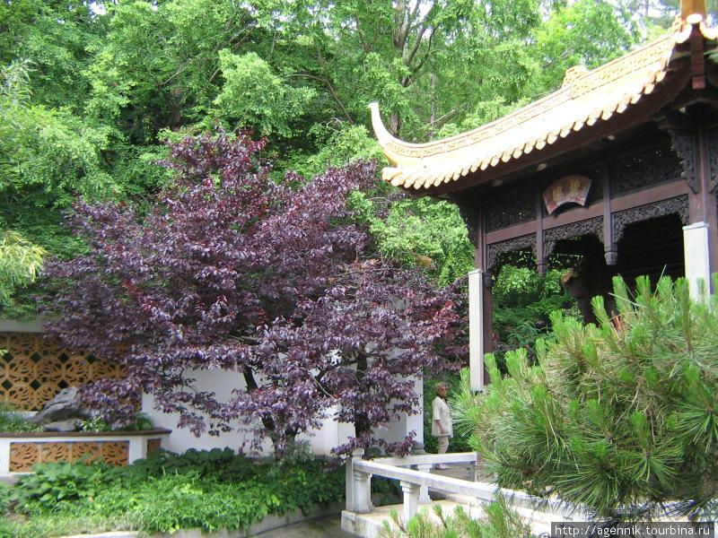 Японский сад Мюнхен, Германия