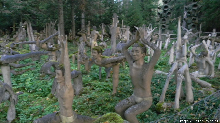 Мистический лес Patsaspuisto Париккала, Финляндия