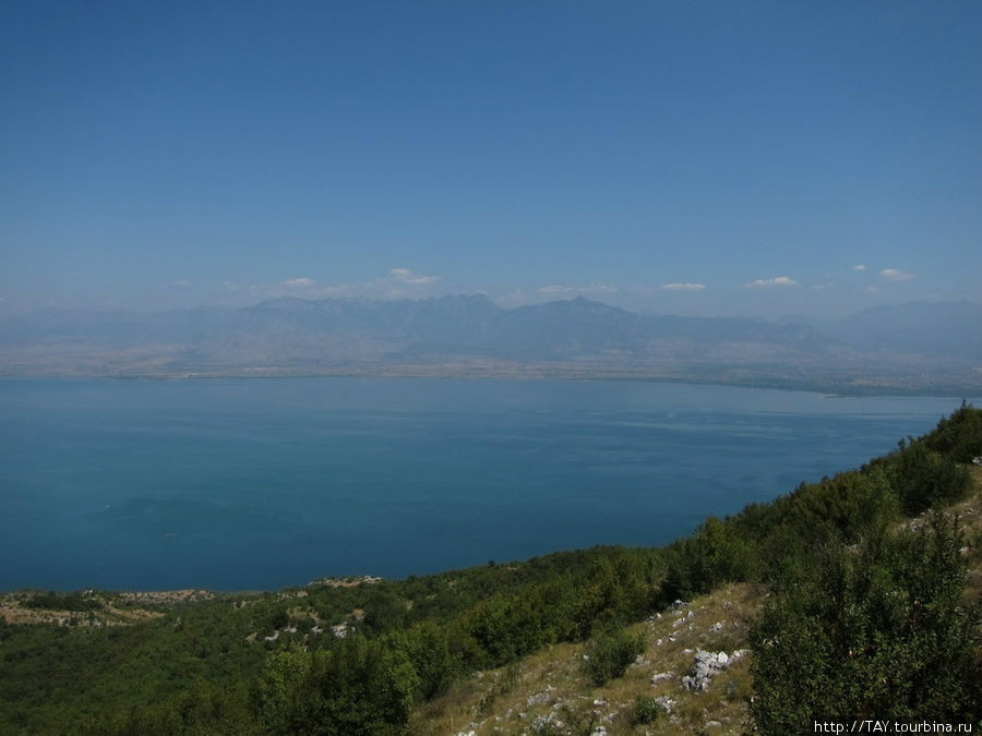 Албанская часть озера Скадарское озеро, Черногория