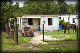 В основном кубинцы живут вот так — это типичный дом.