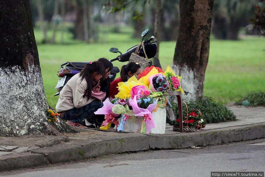 5.  14 февраля в 2011 году завершало двухнедельный праздник Тет. Оказывается День Влюблённых очень популярен во Вьетнаме. На всех углах шла бойкая торговля цветами. Цитадель не была исключением Хюэ, Вьетнам