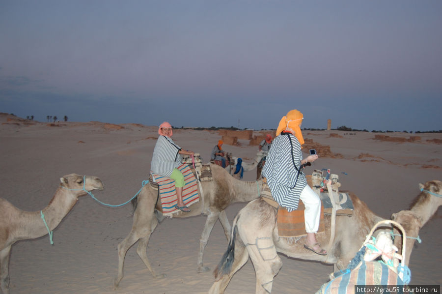 Вечером на верблюдах по Сахаре Дуз, Тунис