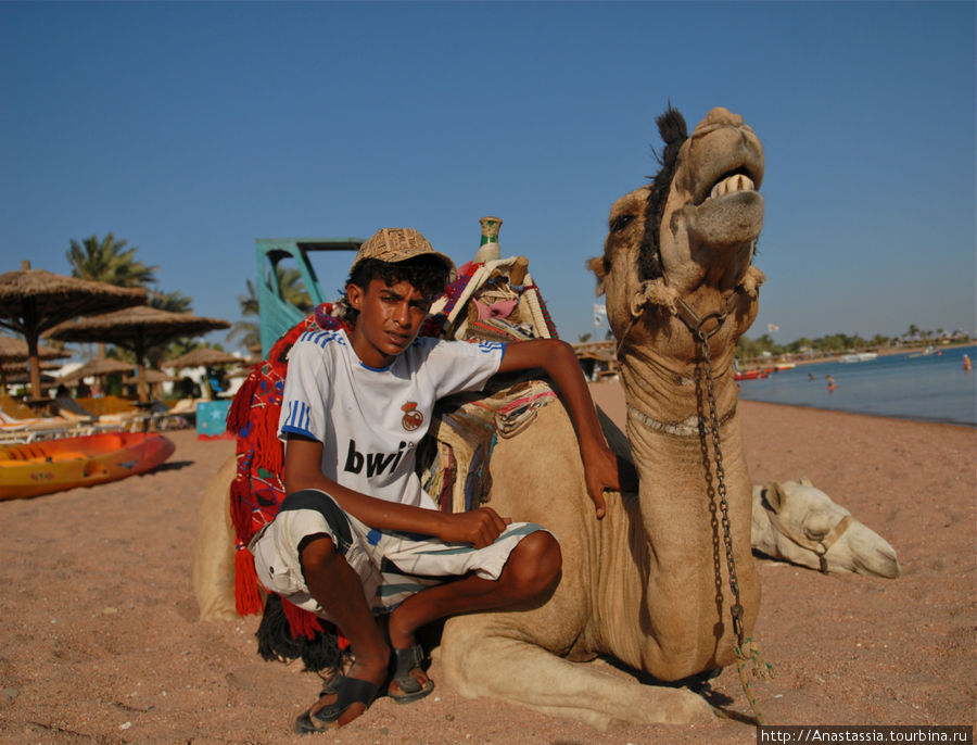 Хилтон и лагуна Дахаб, Египет