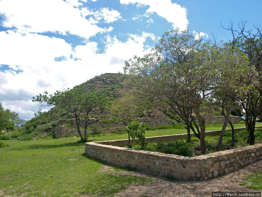 Сад на вершине пирамиды. Так было с древнейших времен. Штат Оахака, Мексика