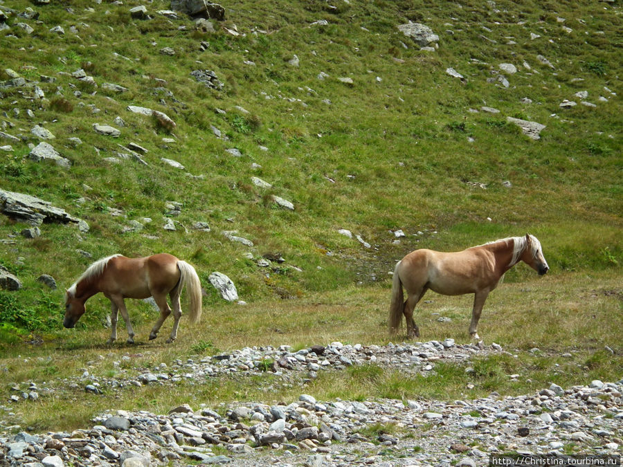 Альпийская сказка. Хохгургль, Австрия