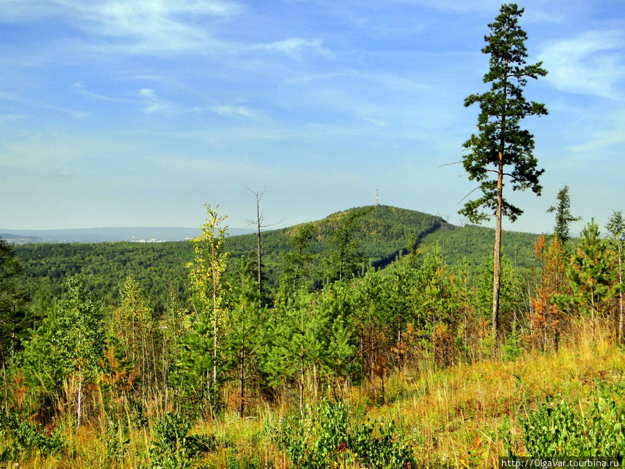Гора Волчиха, возвышающаяся над лесами, самая высокая гора в ближних окрестностях Ревды (526 м), относится к Ревдинскому хребту Ревда, Россия
