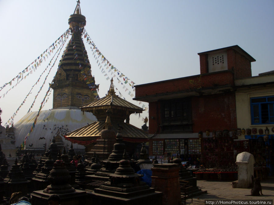 Сваямбхунатх Катманду, Непал
