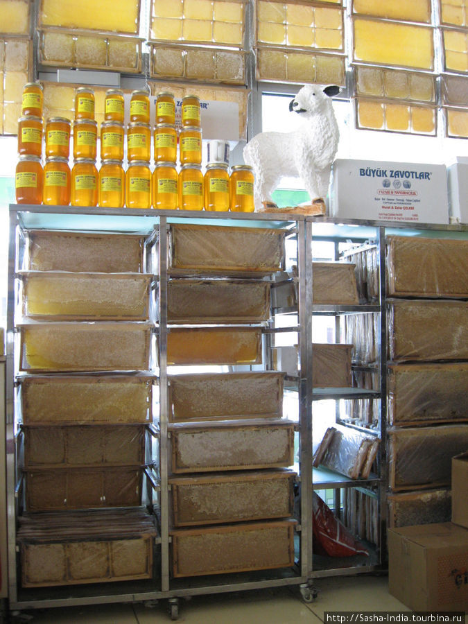 Магазины по продаже мёда и сыра здесь везде Карс, Турция