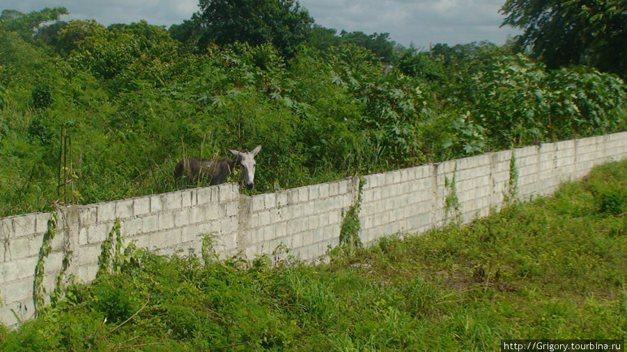 Veron, граница на замке! Доминиканская Республика