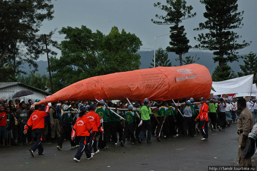 Ну и под занавес по улицам Вамены пронесли гигантскую котеку, то есть морковку :) Вамена, Индонезия