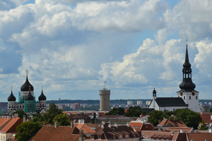 Мне сверху видно всё... Таллин, Эстония