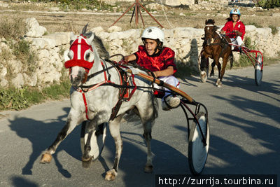 Скачки у холма Саккайя / Saqqajja horse racing